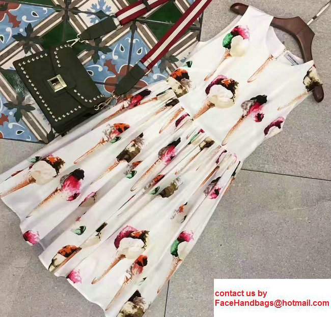 Dolce & Gabbana Printed Dress 2017 Dolce & Gabbana Printed Dress 2017